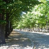 Torino Parco Ruffini