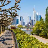Frankfurt am Main