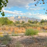 Albuquerque