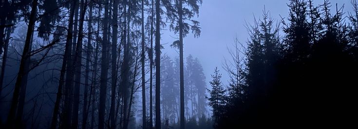 Bsuch Bham Bsuch - 2