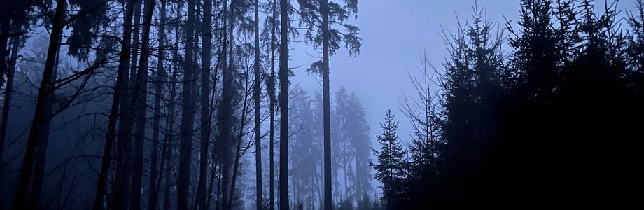 Bsuch Bham Bsuch - 1