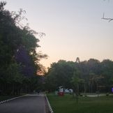 São Paulo Pinheiros