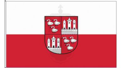 Zwickau Supports WFL Team Image