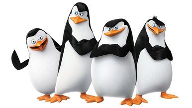Pinguin Team Anger 73 Team Image