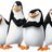 Pinguin Team Anger 73