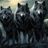 Wolfpack