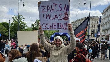 Schallinski Team Image