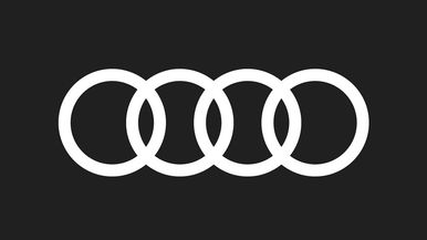 Team Audi Team Image