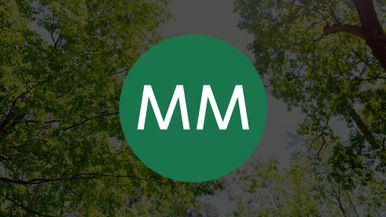 Mayr-Melnhof Group Team Image