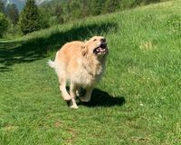 Rosie‘s Run Club