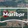Mariborska Tekaška Brigada (MTB)