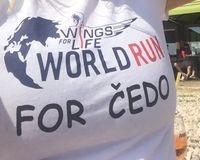 ZADAR-RUNNING for CEDO