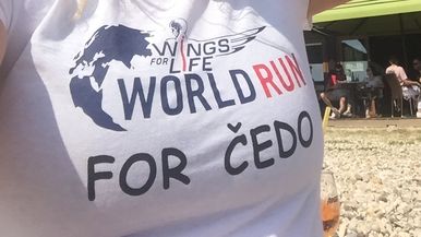 ZADAR-RUNNING for CEDO Team Image