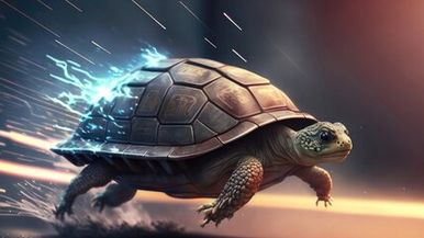 Running Turtles Team Image