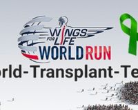 World-Transplant-Team