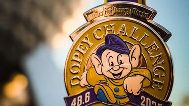 runDisney Support Group Team Image