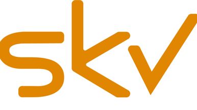 SKV-OeNB Team Image