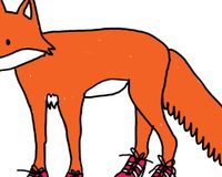 SOMA Fox