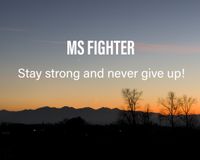 MS Fighter