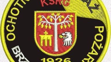 OSP BRZEŹNICA Team Image