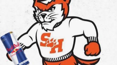 SAM HOUSTON STATE UNIVERSITY Team Image