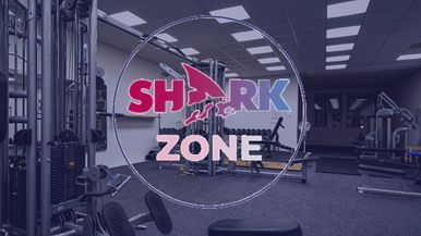 SharkZone fitness Louny Team Image