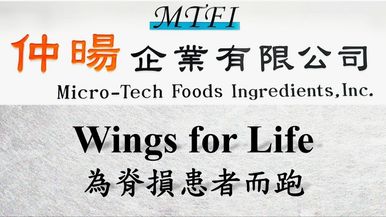 MTFI Team Image