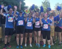 Running Singhammers