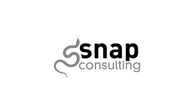 Snap Consulting Team Image