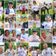 Run4Inclusion