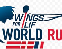 World Run around the World