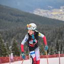Max Hirscher