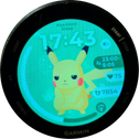 Satoshi Maruyama