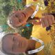 Struber, Elena
