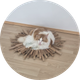 Piepiorka, Friederike
