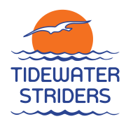 Tidewater Striders